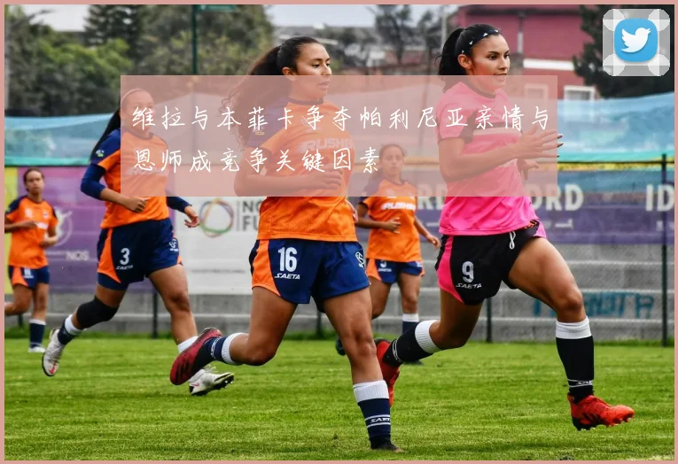 维拉与本菲卡争夺帕利尼亚亲情与恩师成竞争关键因素